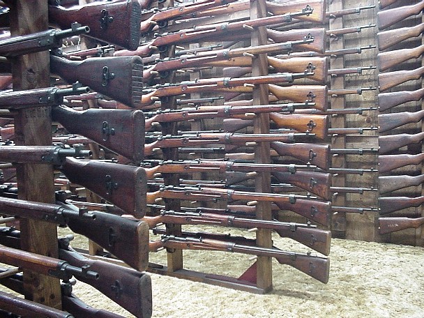 Various Views of Blevins' Collection, 99 Short Rifles