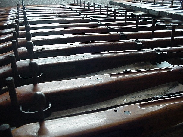 Various Views of Blevins' Collection, 99 Short Rifles